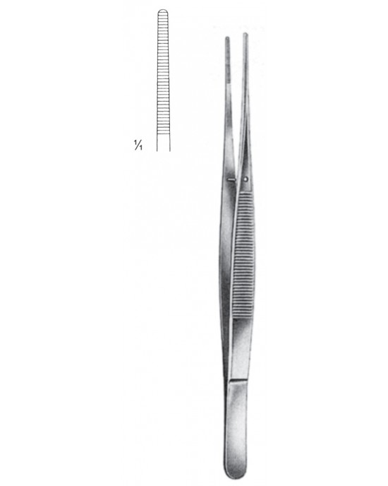 SI 08-2020-21 SI 08-2020-21