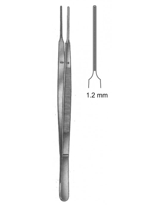 SI 19-5503-24 SI 19-5503-24
