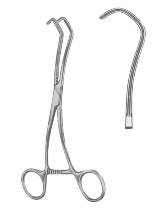 SI 19-5589-17 SI 19-5589-17