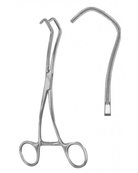 SI 19-5589-18 SI 19-5589-18