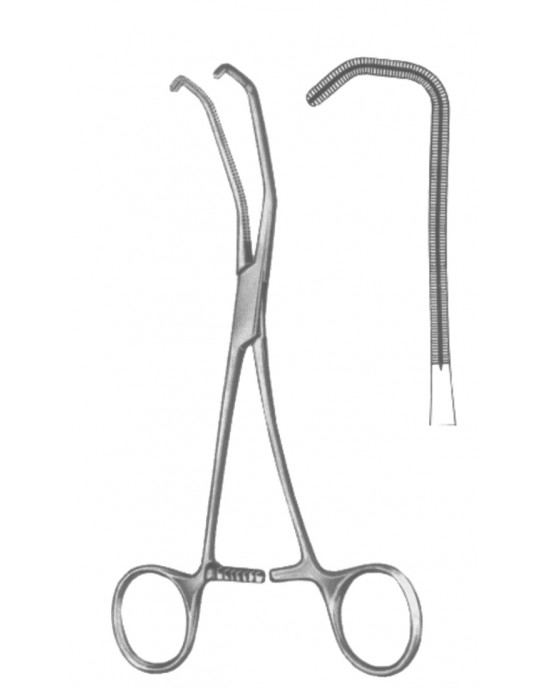 SI 19-5599-17 SI 19-5599-17