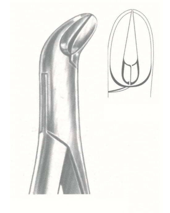SI-50-1008