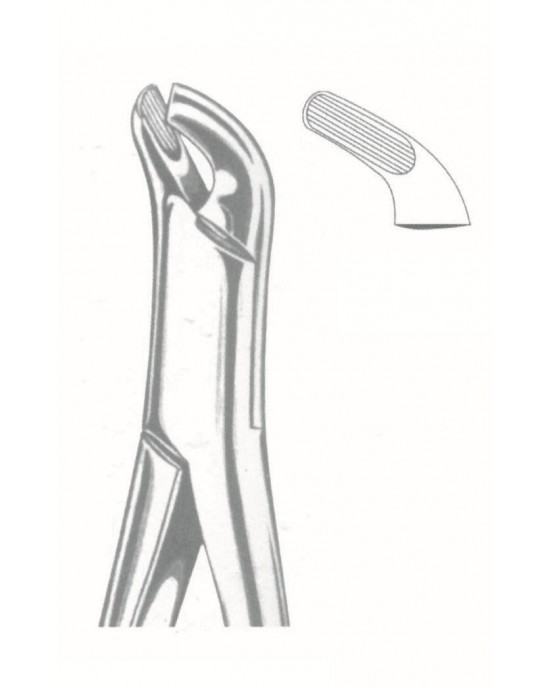 SI-50-1019