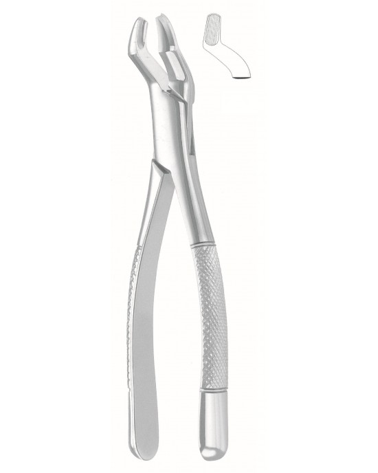 SI-50-1024