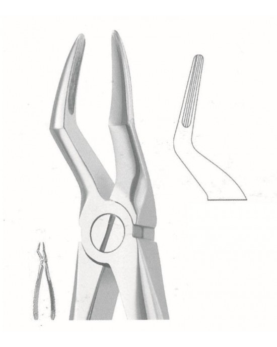 SI-51-1137