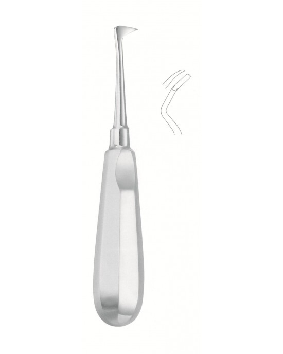 SI-52-1261