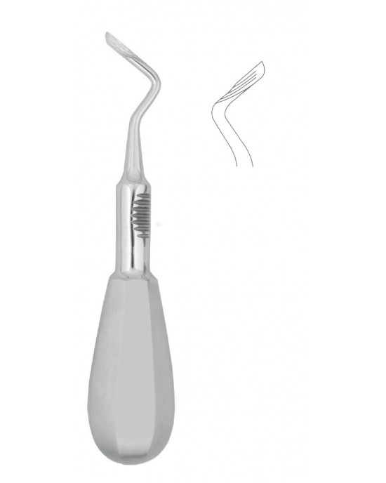 SI-52-1289