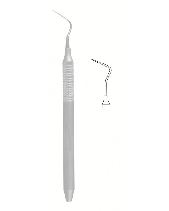 SI-56-1558