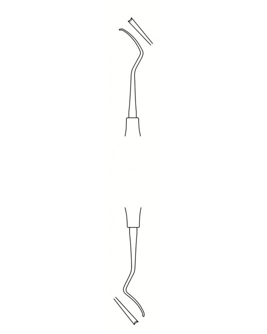 SI-56-1613