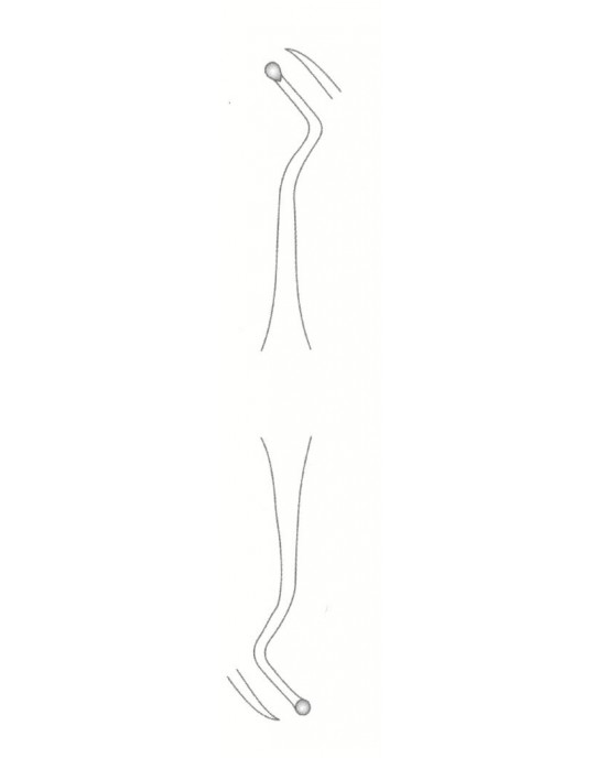SI-58-1829