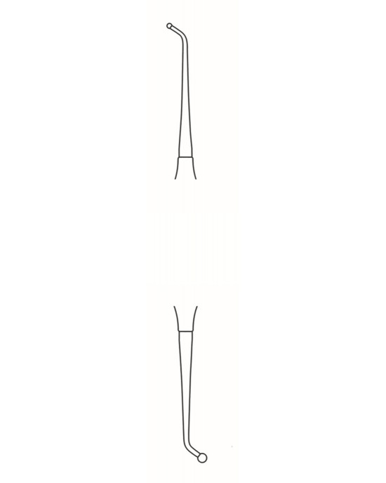 SI-60-2024