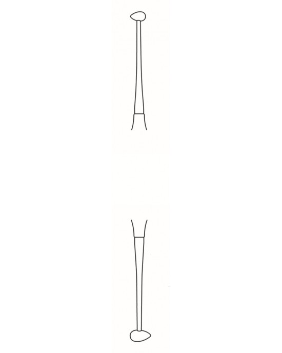 SI-60-2025