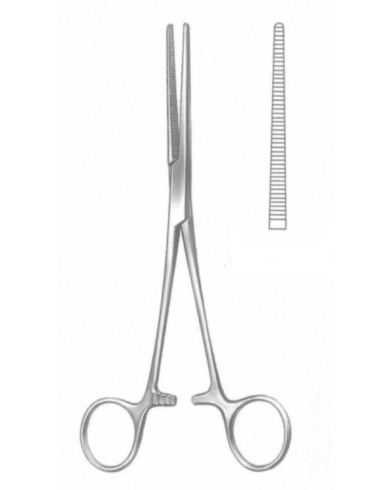 SI-66-2731