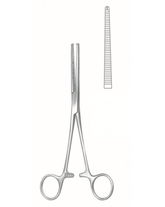 SI-66-2736