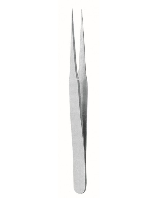 SI-73-3598