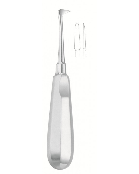 SI-52-1253