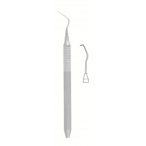SI-56-1562