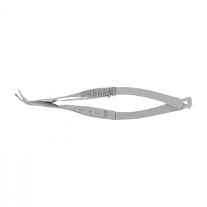 Farid-Steinert DALK Scissors, Right