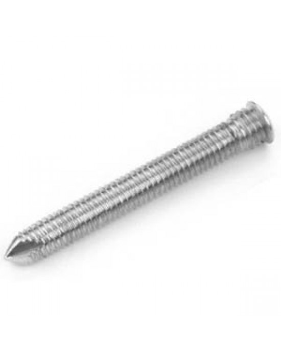 Locking Screw 6.5mm Self Tapping